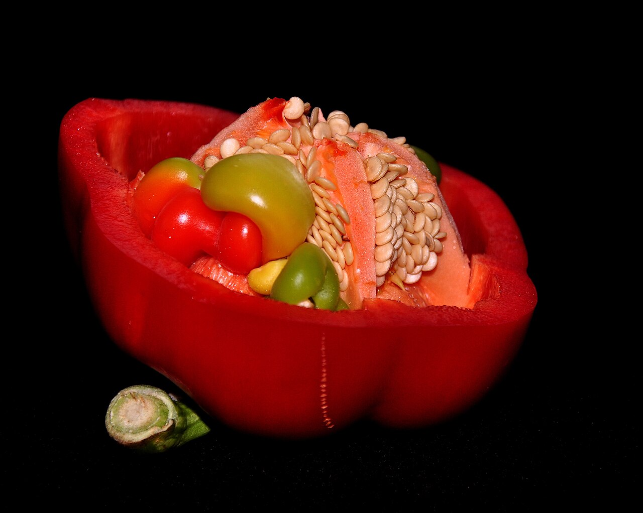 Capsicum annuum