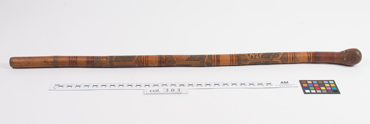 Fargesia robusta