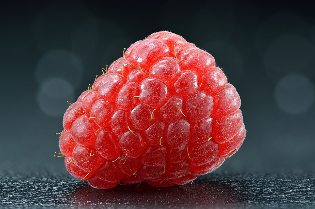 Red raspberry (Rubus idaeus)