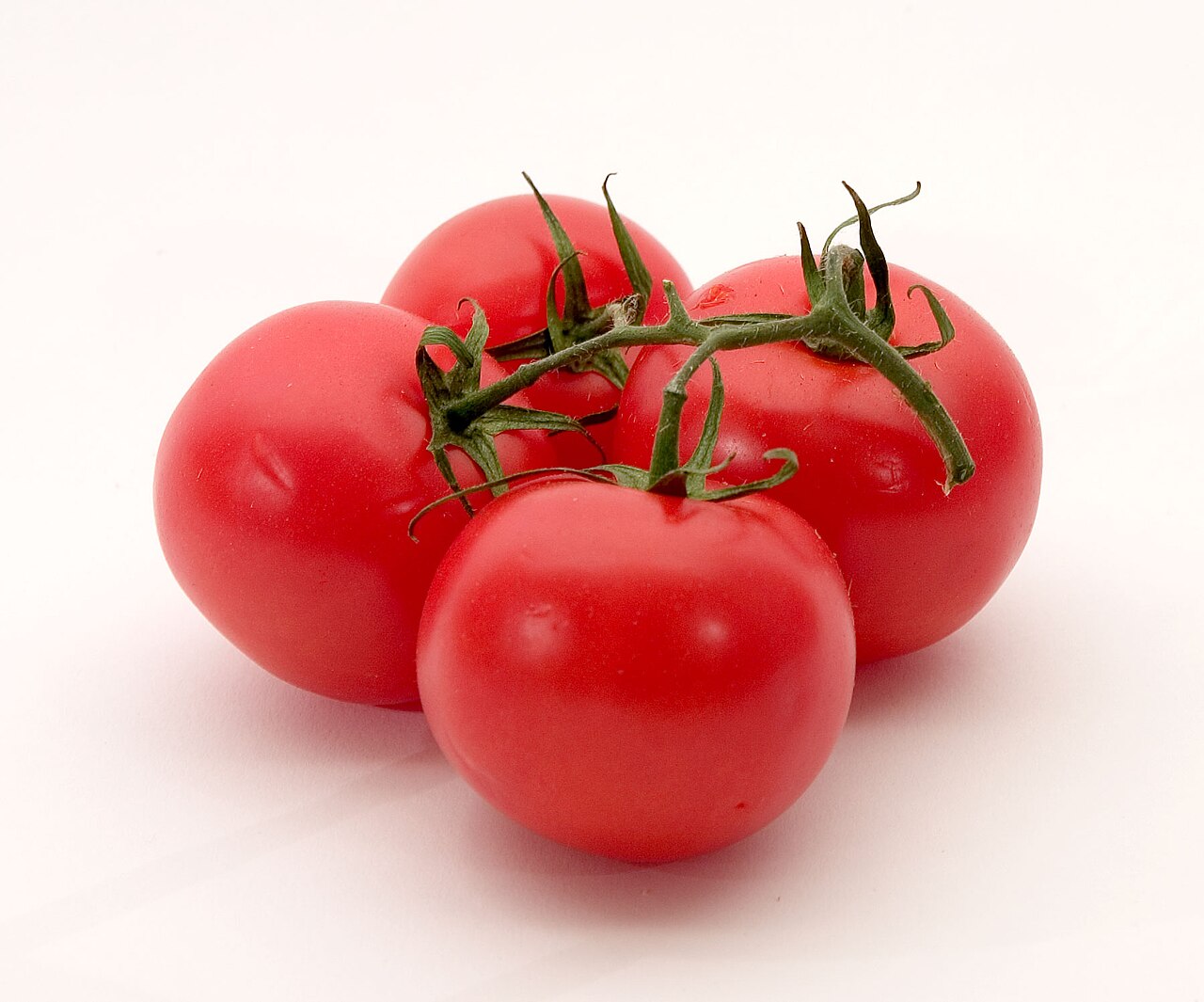 Solanum lycopersicum