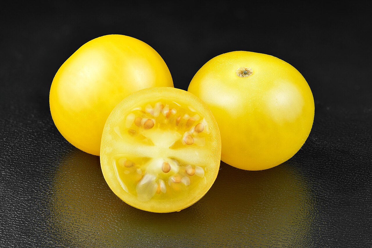 Solanum lycopersicum