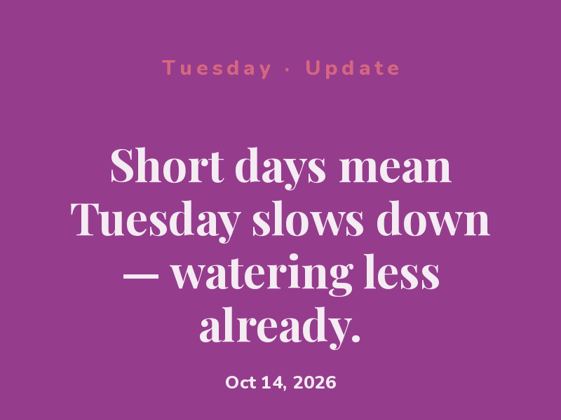 Short days mean Tuesday slows down — watering less already.