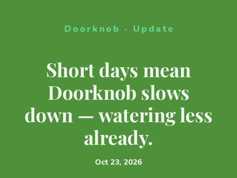 Short days mean Doorknob slows down — watering less already.