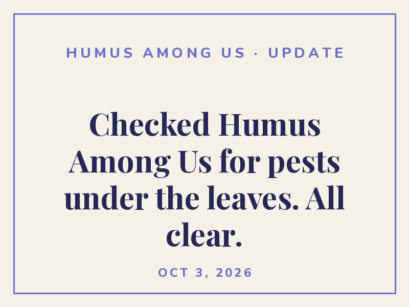 Checked Humus Among Us for pests under the leaves. All clear.