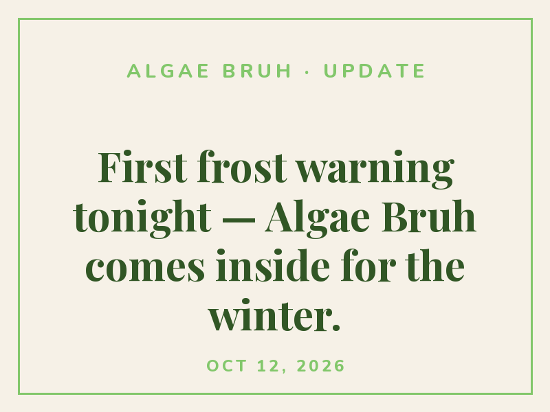 First frost warning tonight — Algae Bruh comes inside for the winter.