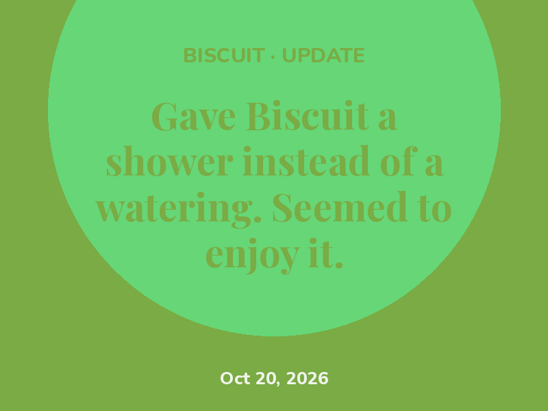 Gave Biscuit a shower instead of a watering. Seemed to enjoy it.