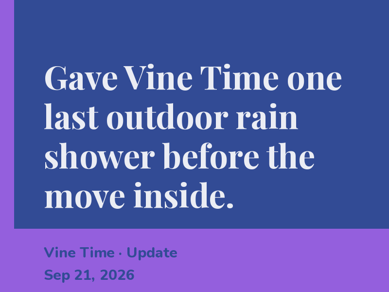 Gave Vine Time one last outdoor rain shower before the move inside.