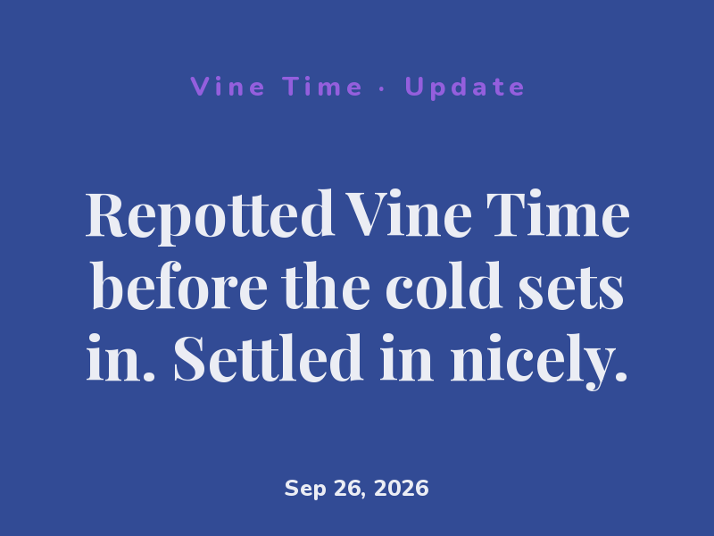 Brought Vine Time in from the porch. Summer vacation is over.