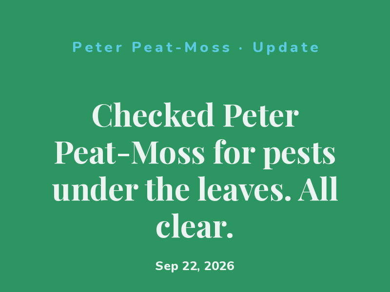 Moved Peter Peat-Moss to the brightest window for the dark months ahead.