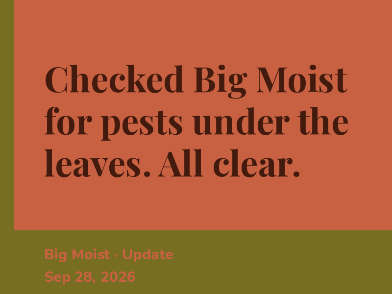 Dropped the feeding schedule — Big Moist is winding down for the year.