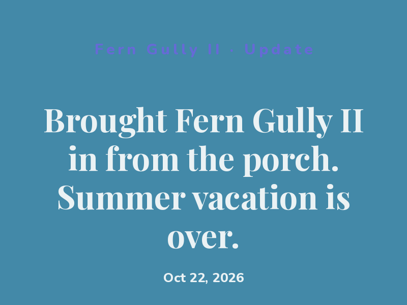 Brought Fern Gully II in from the porch. Summer vacation is over.