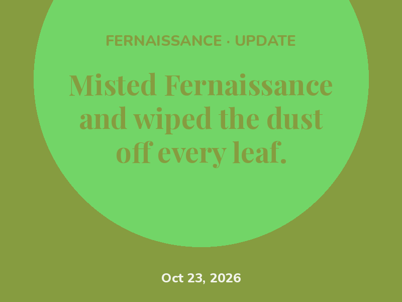 Misted Fernaissance and wiped the dust off every leaf.
