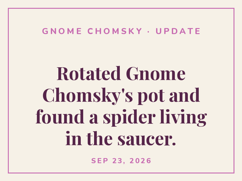 Bottom-watered Gnome Chomsky for a change. It drank fast.