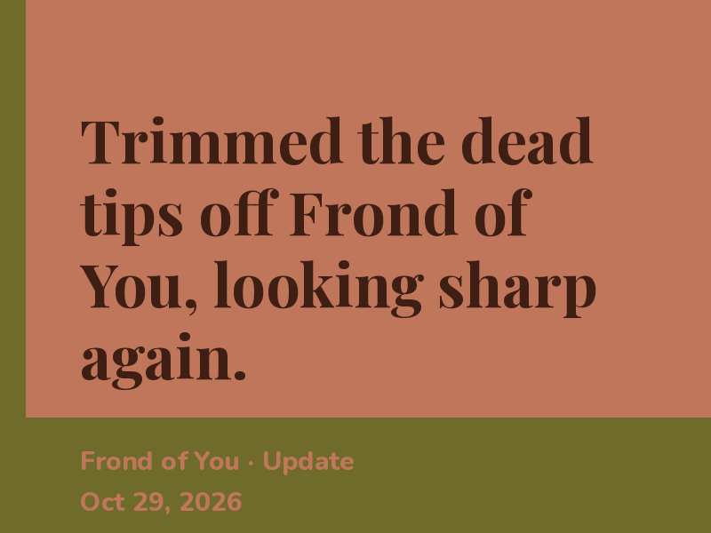 Found a leaf turning on Frond of You. Fall is here.