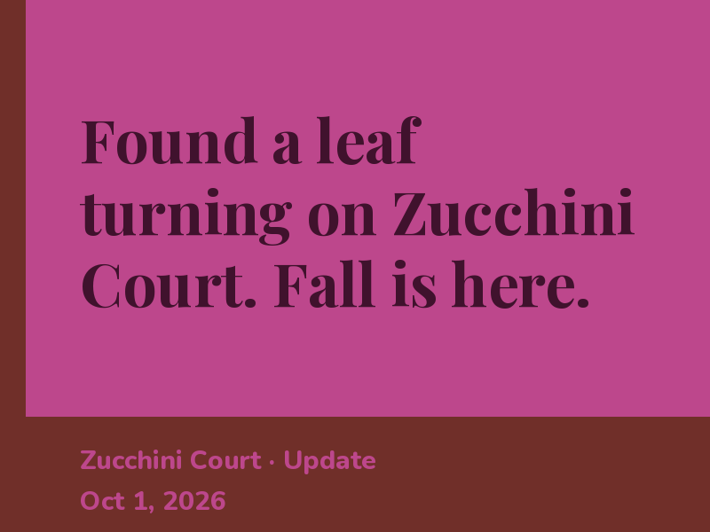 Caught Zucchini Court pushing out a second bud this week.