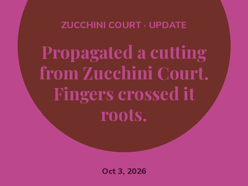 Dropped the feeding schedule — Zucchini Court is winding down for the year.