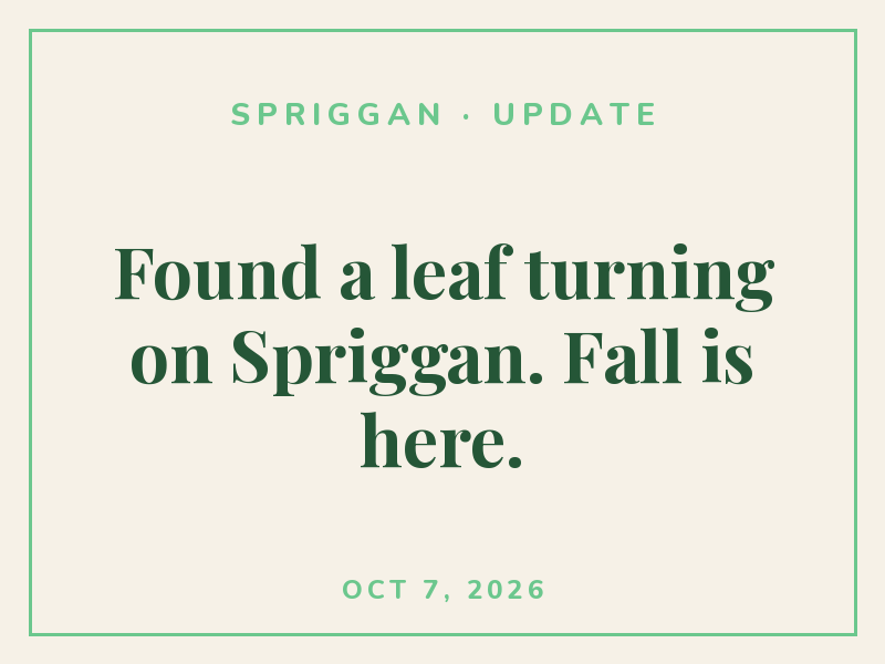 Found a leaf turning on Spriggan. Fall is here.