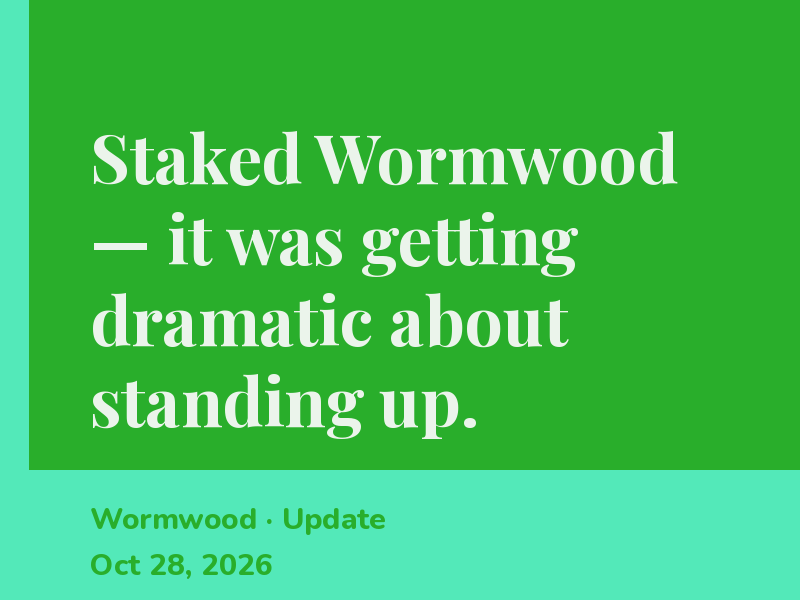 Wormwood