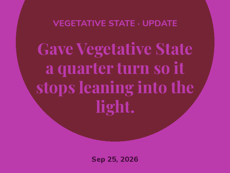 The fall light through the window is making Vegetative State's colors pop.