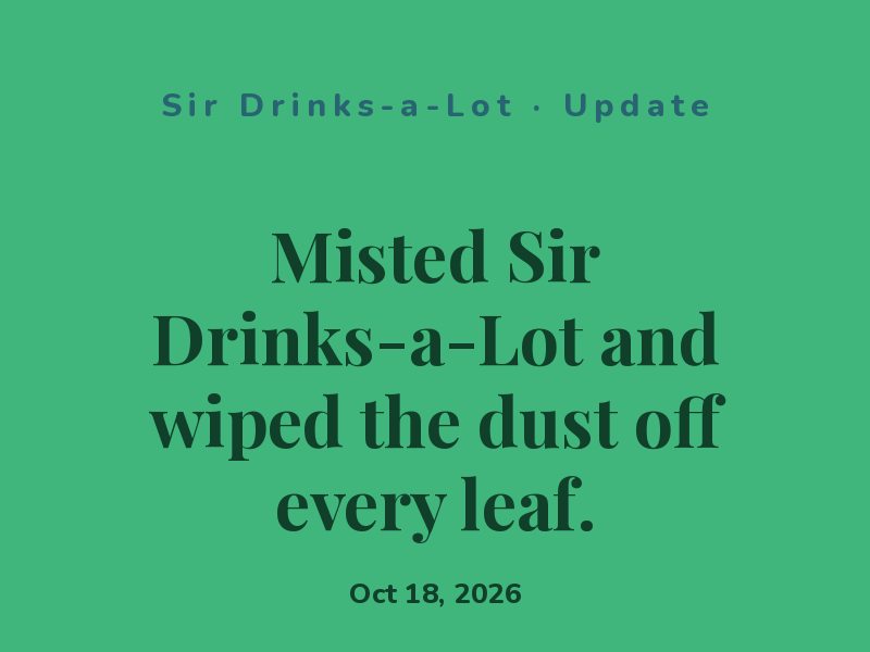 Misted Sir Drinks-a-Lot and wiped the dust off every leaf.