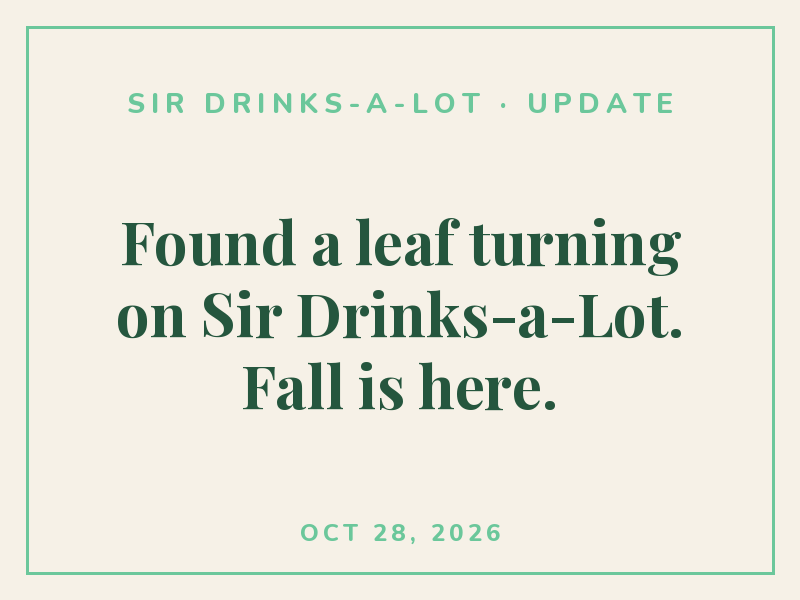 Sir Drinks-a-Lot