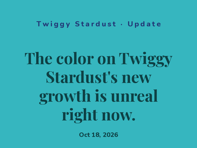 The fall light through the window is making Twiggy Stardust's colors pop.