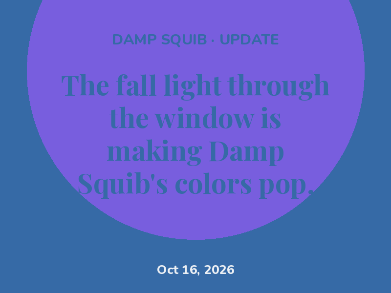 The fall light through the window is making Damp Squib's colors pop.