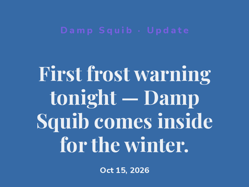 First frost warning tonight — Damp Squib comes inside for the winter.