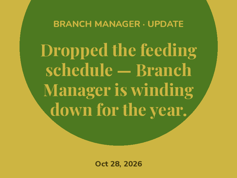 Branch Manager