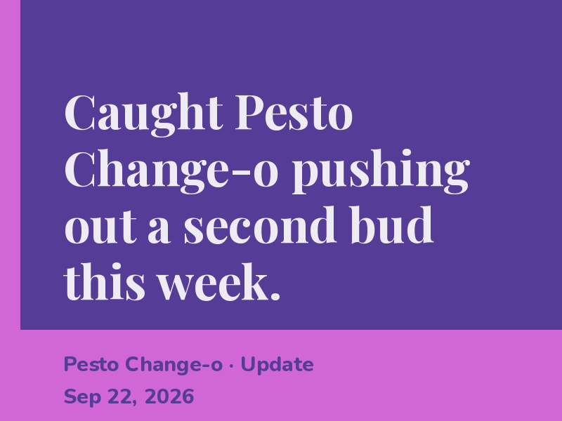 Caught Pesto Change-o pushing out a second bud this week.
