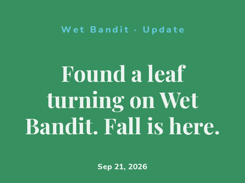 Measured Wet Bandit — two inches taller than last month.