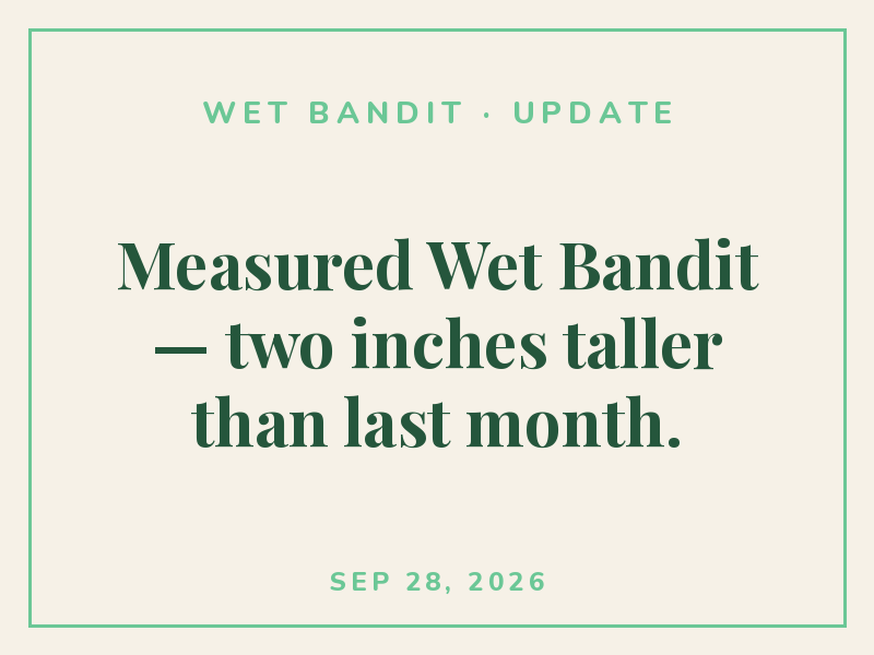 Gave Wet Bandit one last outdoor rain shower before the move inside.