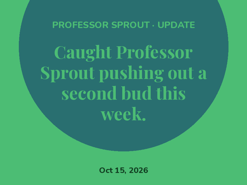 Caught Professor Sprout pushing out a second bud this week.