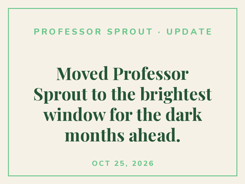 Moved Professor Sprout to the brightest window for the dark months ahead.