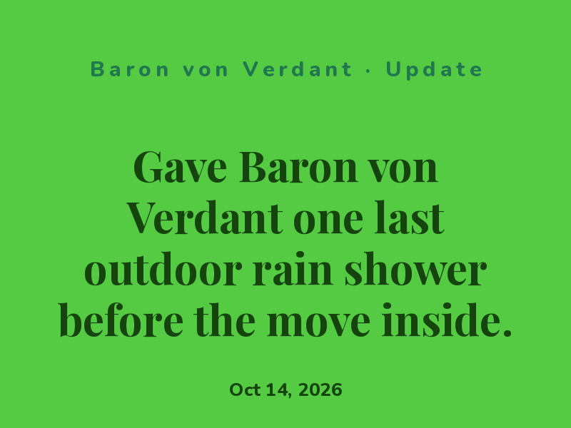 Repotted Baron von Verdant before the cold sets in. Settled in nicely.