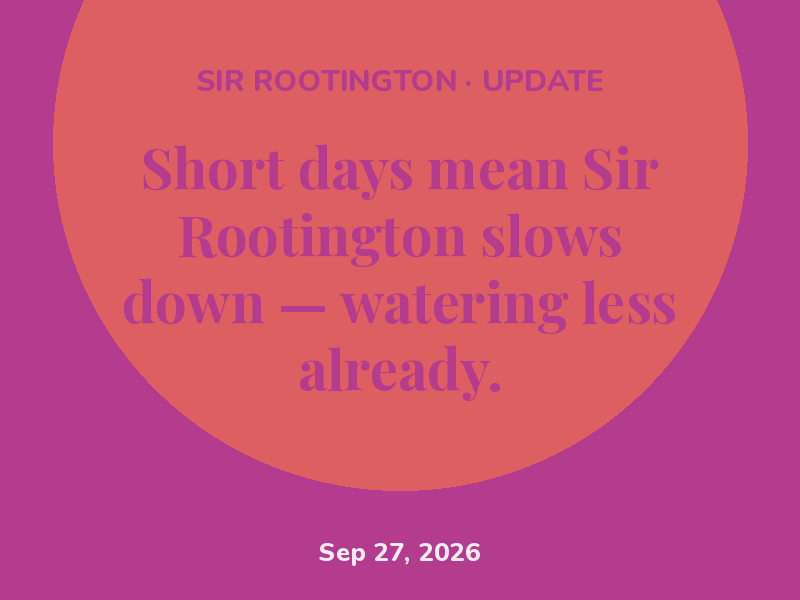 Short days mean Sir Rootington slows down — watering less already.