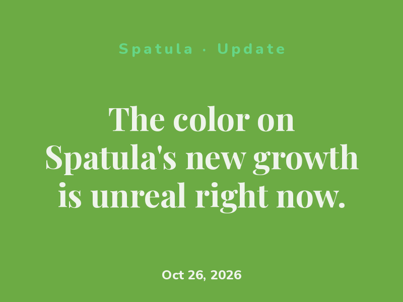 The color on Spatula's new growth is unreal right now.