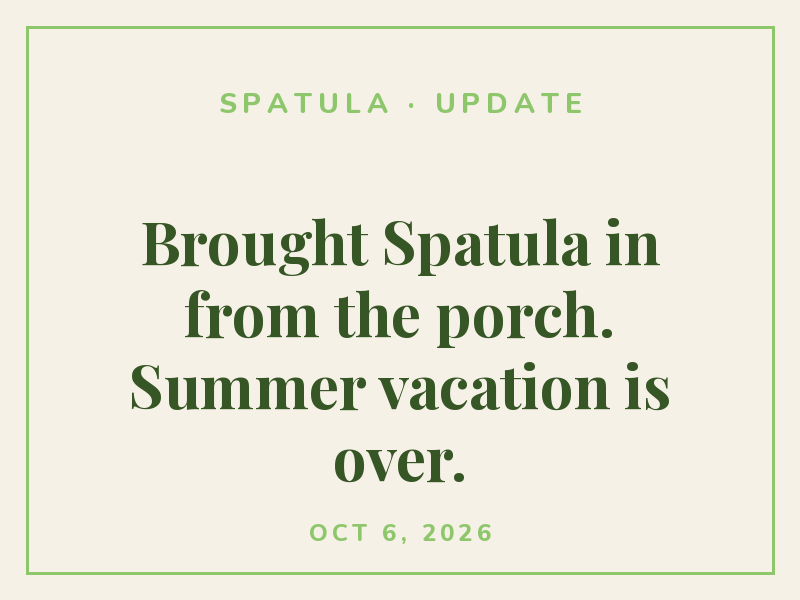 Brought Spatula in from the porch. Summer vacation is over.