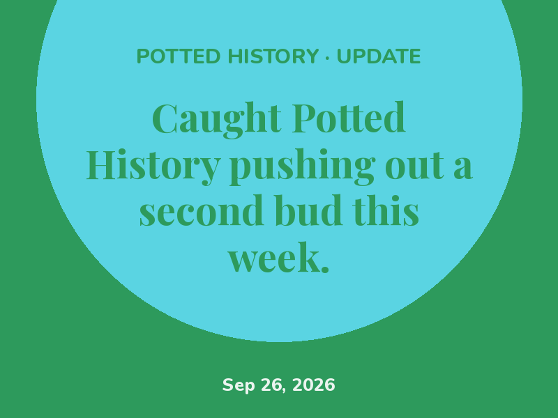 Found the perfect spot for Potted History — finally.