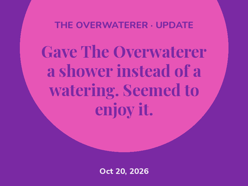 Gave The Overwaterer a shower instead of a watering. Seemed to enjoy it.