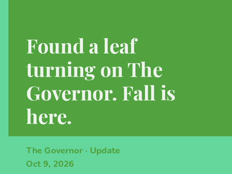 The fall light through the window is making The Governor's colors pop.