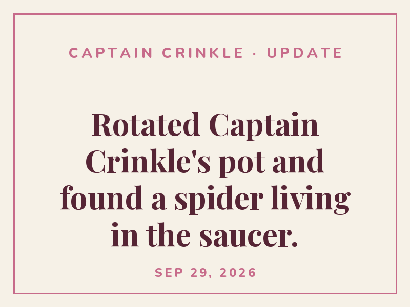 Pruned Captain Crinkle back harder than I meant to. We'll see.