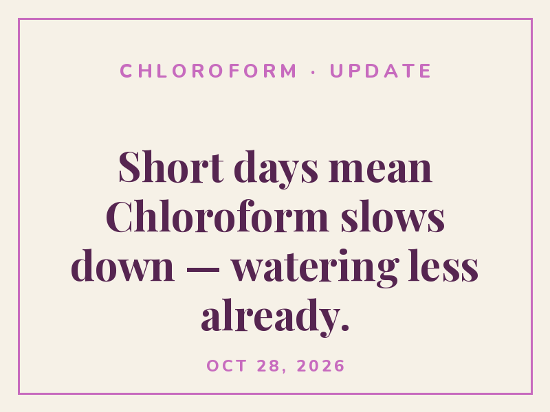 Chloroform