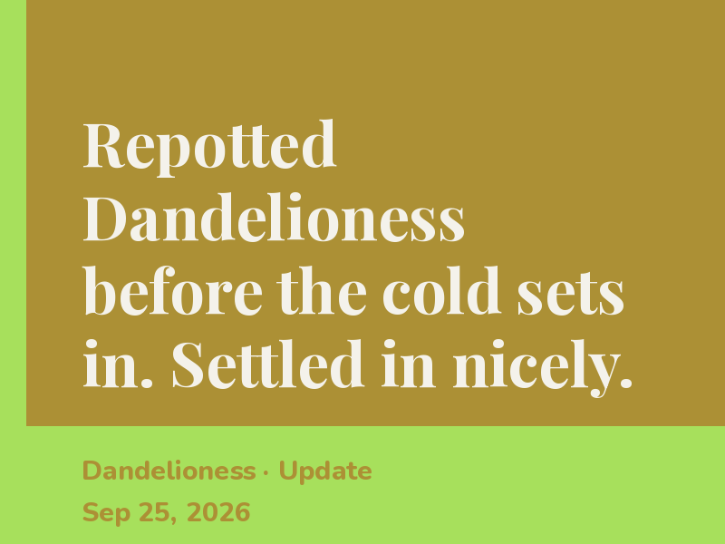 New leaf on Dandelioness! Worth the wait.
