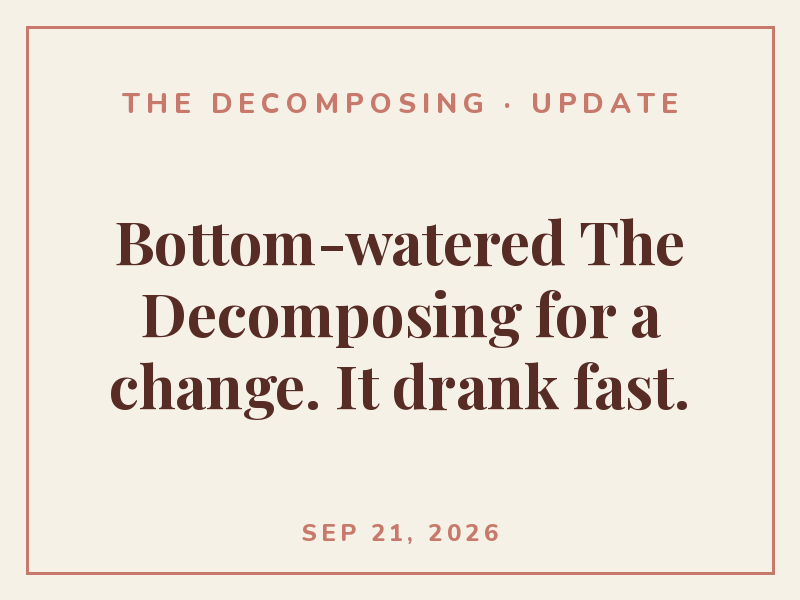 Bottom-watered The Decomposing for a change. It drank fast.