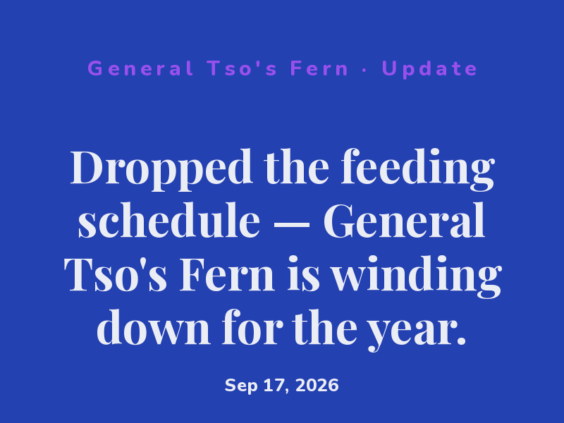 Dropped the feeding schedule — General Tso's Fern is winding down for the year.