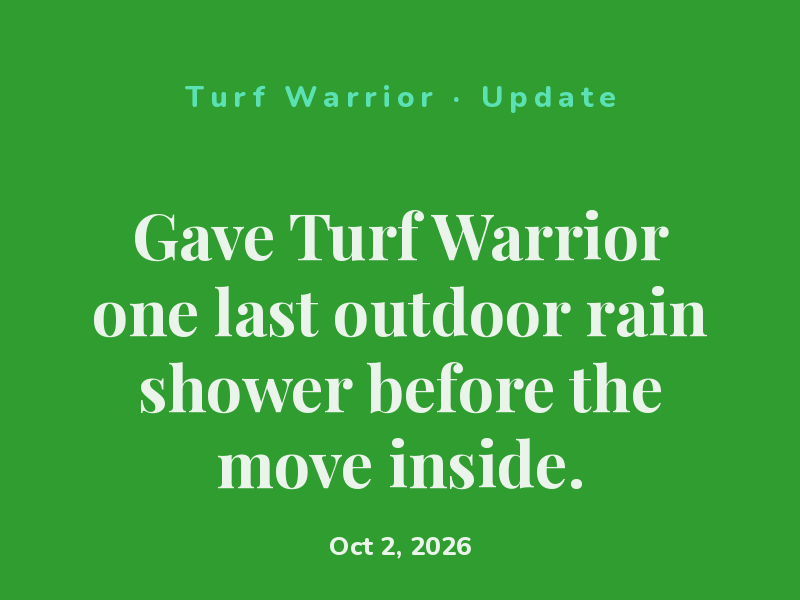 Gave Turf Warrior one last outdoor rain shower before the move inside.