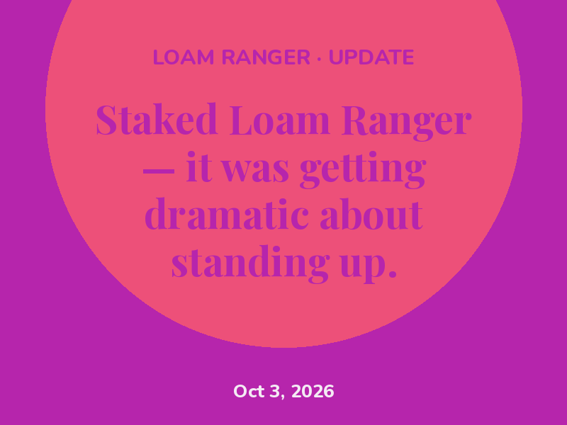 Staked Loam Ranger — it was getting dramatic about standing up.