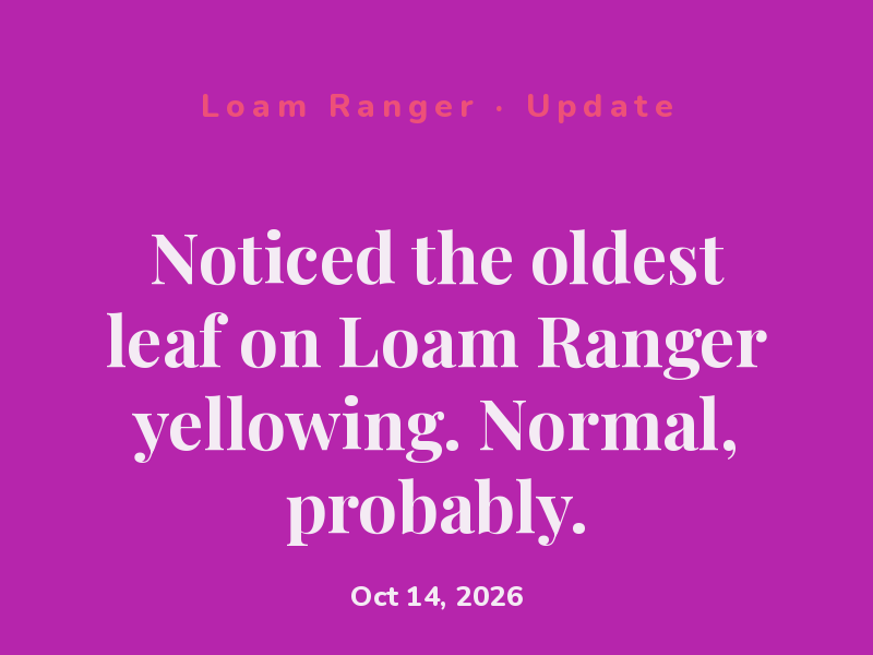 Found a leaf turning on Loam Ranger. Fall is here.